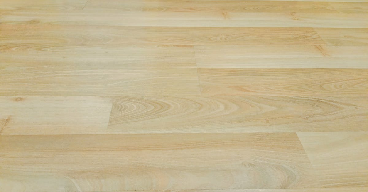 Floor Sanding