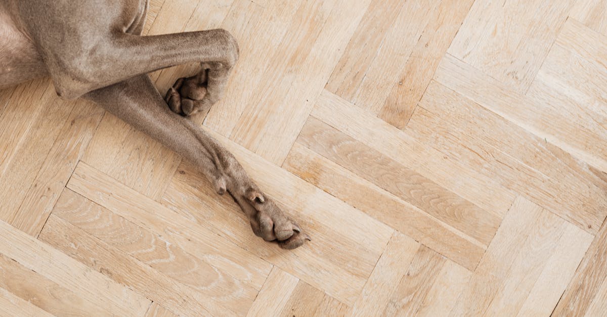 Laminate Floor Installation